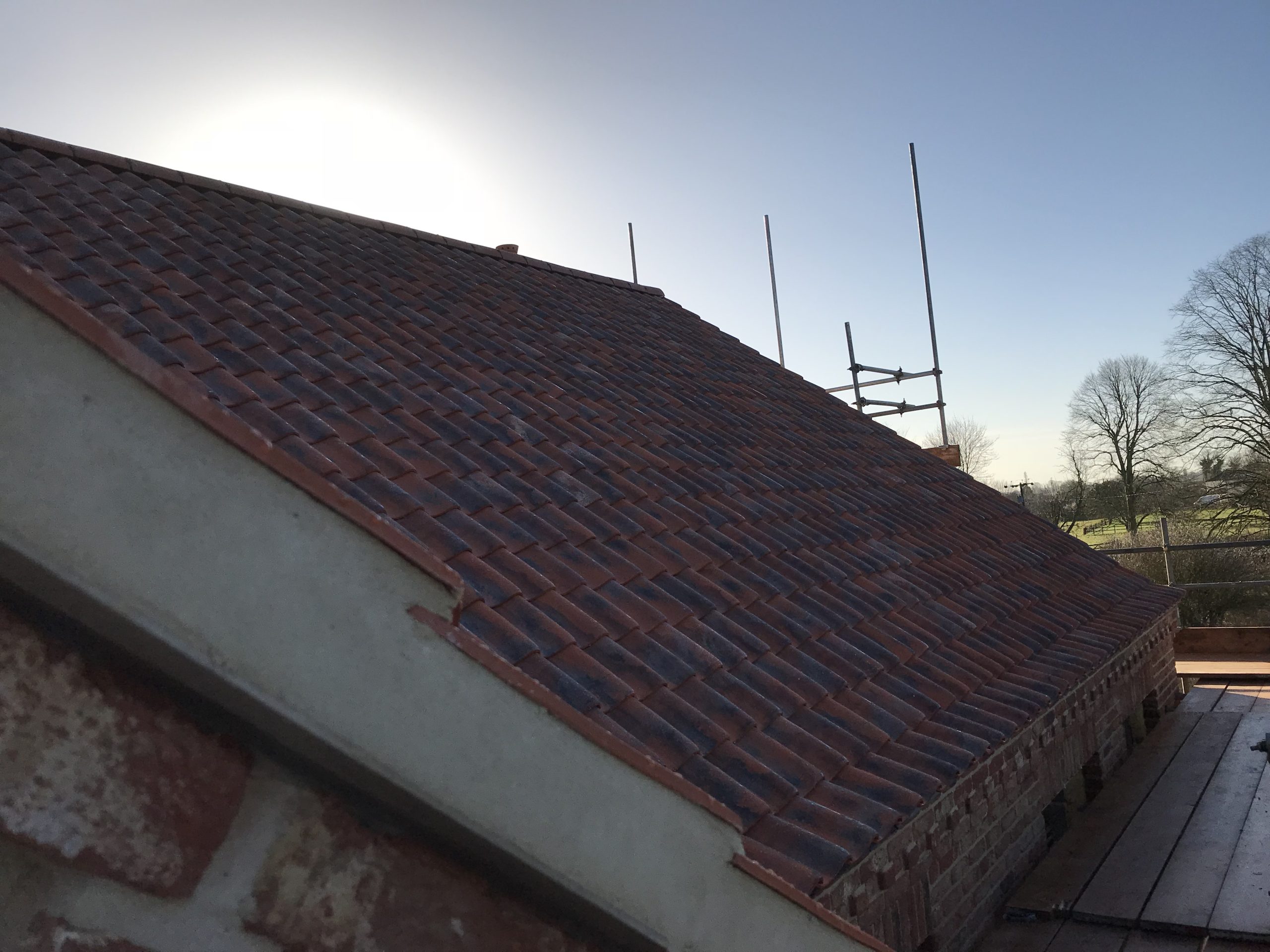 image1 2