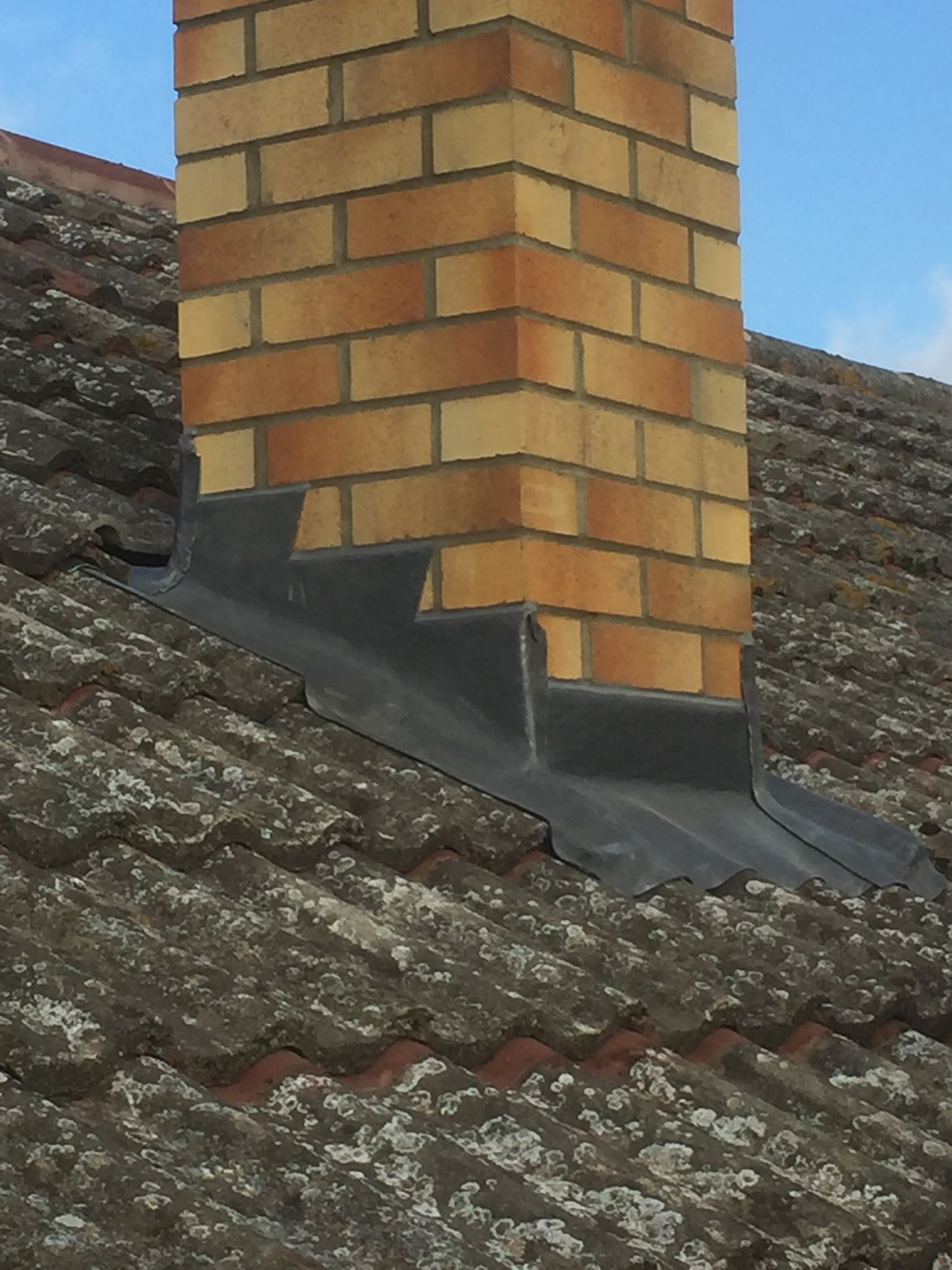 lee roofer